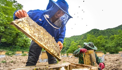 三门峡乡村振兴新动能·拼产业之卢氏篇